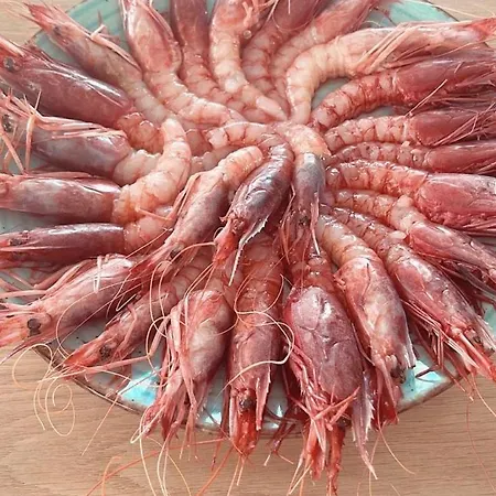 Torre Difyos * Perdifumo