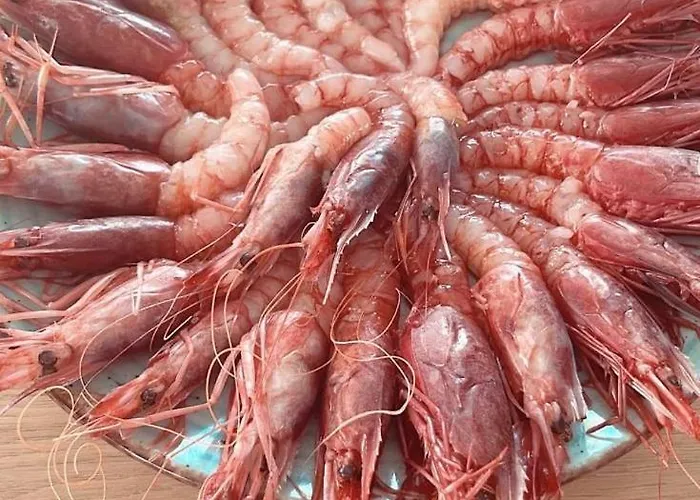 Torre Difyos * ペルディフーモ